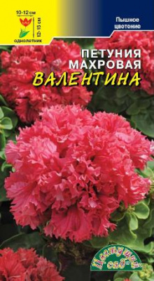 цПетуния Валентина