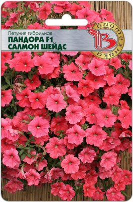 цПетуния Пандора Салмон шейдс 5шт