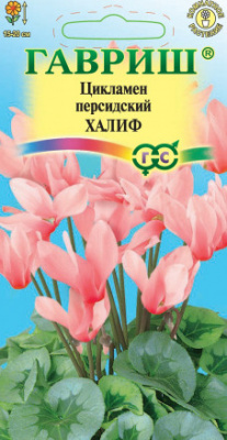Цикламен Халиф 3шт