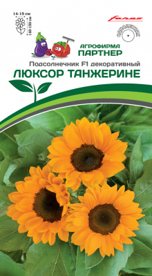 цПодсолнечник Люксор Танжерине 10шт