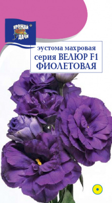 Эустома Велюр фиолетовая махр. 5шт