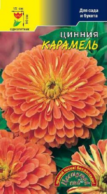 цЦинния Карамель