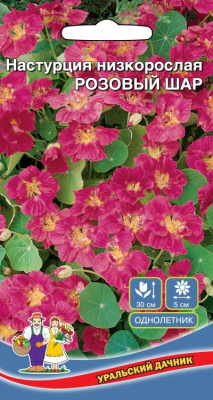 цНастурция Розовый шар низк.