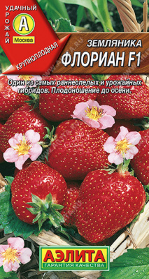 Земляника Флориан 5шт круп.рем.