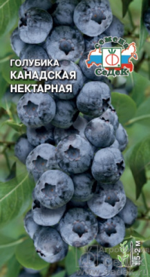 Голубика Канадская Нектарная 0,05г