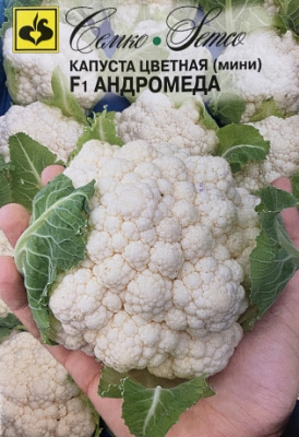 Капуста цветная Андромеда Мини