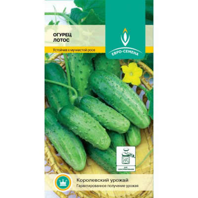 Огурец Лотос 0,5г