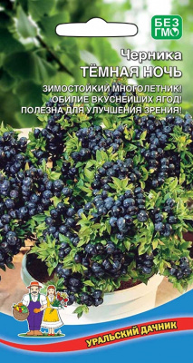 Черника Темная Ночь 30шт