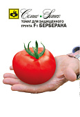 Томат Берберана 5шт