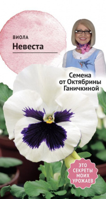 цВиола Невеста 0,1г (семена от Ганичкиной)