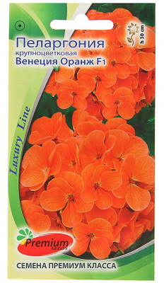 цПеларгония Венеция Оранж 5шт