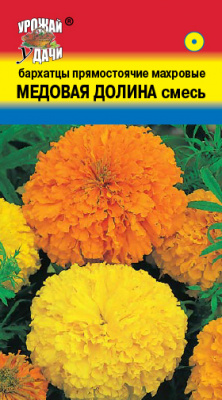 цБархатцы Медовая долина прям.