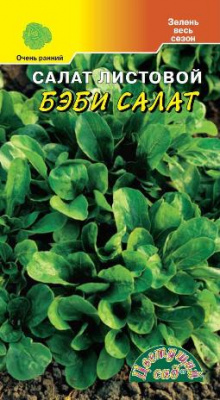 Салат Бэби салат листовой