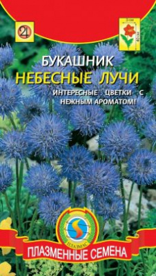 цБукашник Небесные лучи 80шт