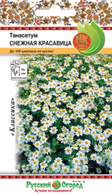 Танасетум Снежная Красавица 0,01г