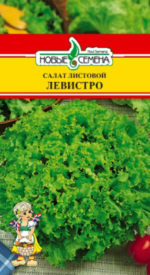 Салат Левистро 10шт (Rijk Zwaan / Голландия)