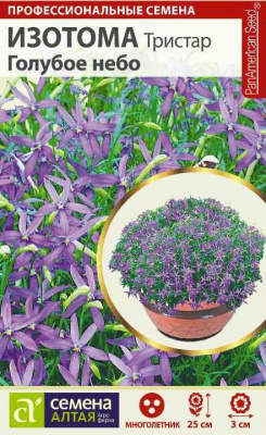 цИзотома Тристар Голубое небо 5шт