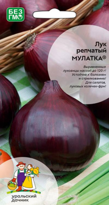 Лук репчатый Мулатка