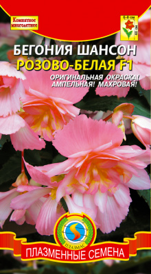 цБегония Шансон Розово-белая амп. 10шт