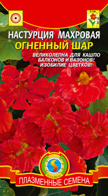 цНастурция Огненный шар 9шт