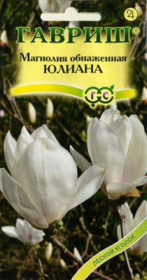 цМагнолия Юлиана 3шт