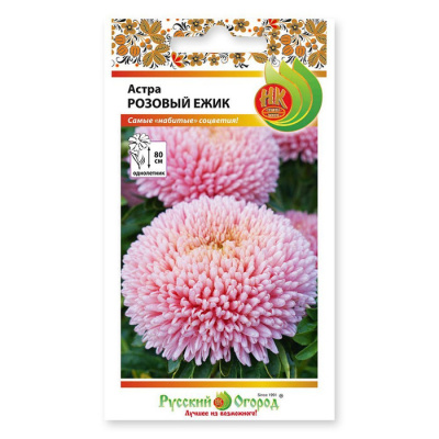 Астра Розовый ёжик 50шт