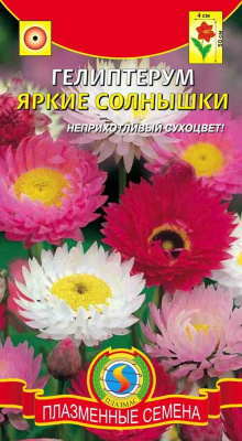 цГелиптерум Яркие солнышки (Акроклинум)