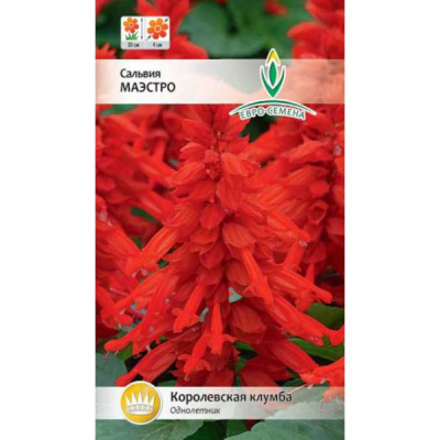 цСальвия Маэстро 0,04г