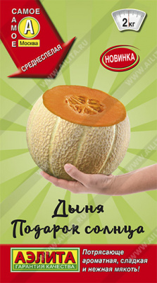 Дыня Подарок солнца 1г