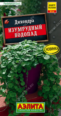 Дихондра Изумрудный водопад 3шт