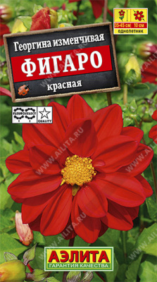 Георгина Фигаро Красная 7шт