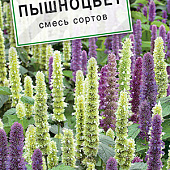 Агастахе Пышноцвет, смесь 0,1г