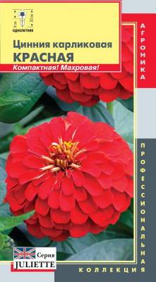 цЦинния Красная Juliette (карликовая)
