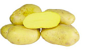 Картофель Бернина (1 кг)