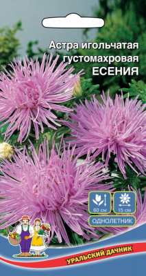 цАстра Есения
