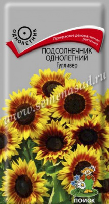цПодсолнечник Гулливер