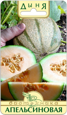 Дыня Апельсиновая 8шт