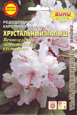 Рододендрон Хрустальный малыш 0,001г