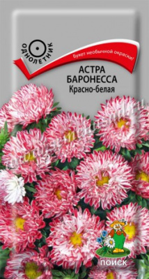 цАстра Баронесса Красно-белая 0,3г