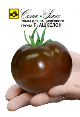 Томат Ашкелон 5шт