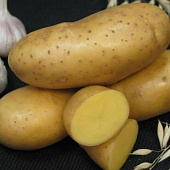 Картофель Императрица (1 кг)