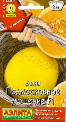 Дыня Подмосковное угощение 5шт