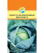 Капуста бк Килатон /Syngenta/ 15шт