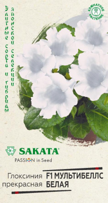 цГлоксиния Мультибеллс белая 4 шт Саката