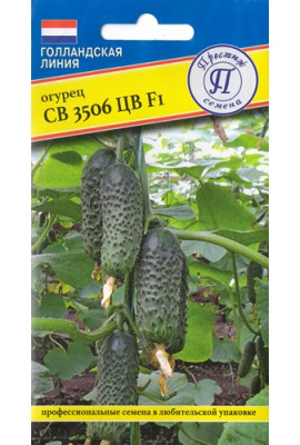 Огурец СВ 3506 5шт (Голландия)