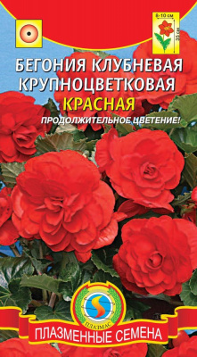 цБегония клубневая Красная крупноцветковая