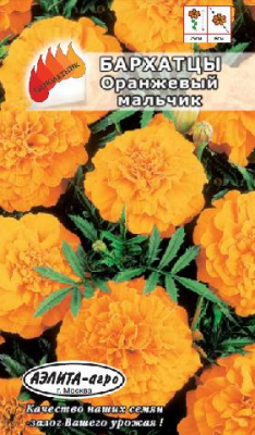 цБархатцы Оранжевый мальчик откл.