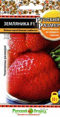 Земляника Русский размер 8шт