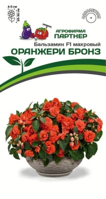 Бальзамин Оранжери бронз 5шт