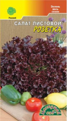 Салат Розетка листовой 1г +фиолетовый